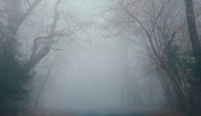 Fog Smothers New Orleans Morning As Springlike Warmup Moves In