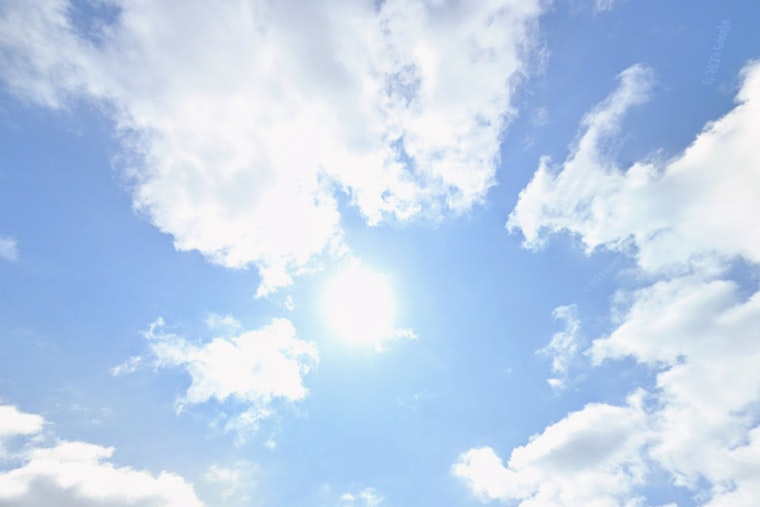 Foggy Morning Gives Way to Sunshine as Portland Reaches 60