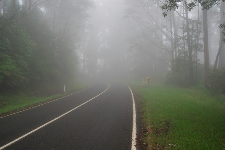 Foggy Start Leads to Rainy Week for Philadelphia, NWS Reports
