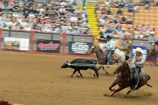 Fort Worth Stock Show Parade Slammed Over 'Scary' Fake Native Rider