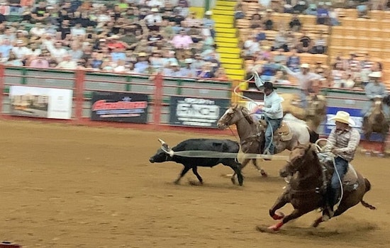 Fort Worth Stock Show Parade Slammed Over 'Scary' Fake Native Rider