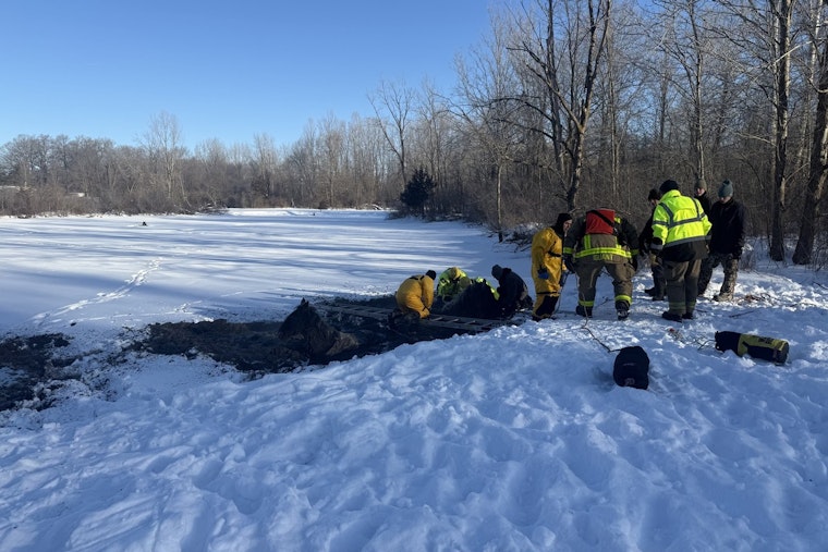 Four Horses Rescued from Icy Waters at Turtle Creek Golf Course in Newton Township