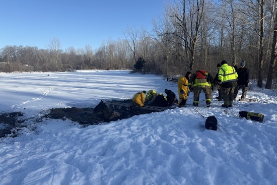 Four Horses Rescued from Icy Waters at Turtle Creek Golf Course in Newton Township