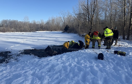 Four Horses Rescued from Icy Waters at Turtle Creek Golf Course in Newton Township
