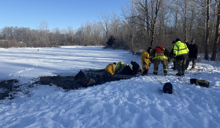 Four Horses Rescued from Icy Waters at Turtle Creek Golf Course in Newton Township