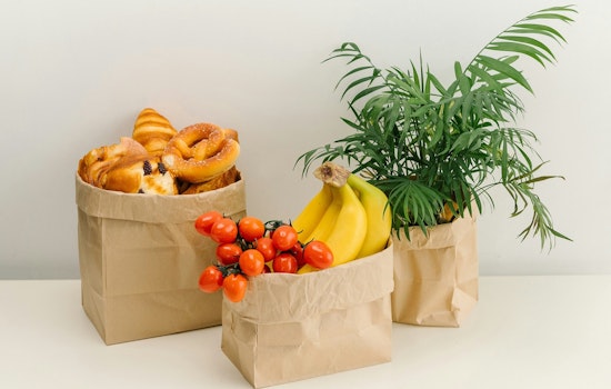 Free Groceries and Health Services at Hillsborough's Healthy Living Community Fair in Plant City