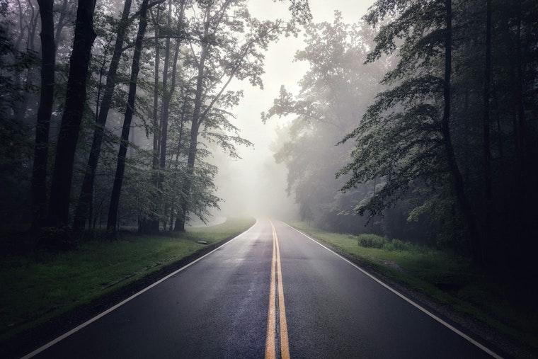 From Fog to Freeze: Jacksonville's Weekend Weather Roller Coaster