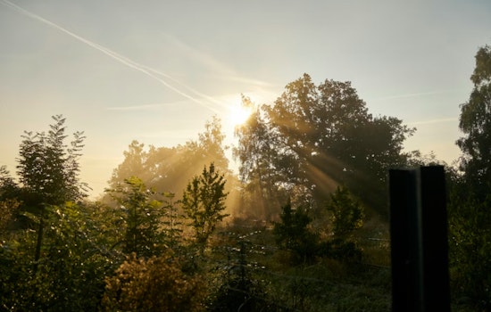 From Fog To Sizzle As Jacksonville Rides Weekend Weather Roller Coaster