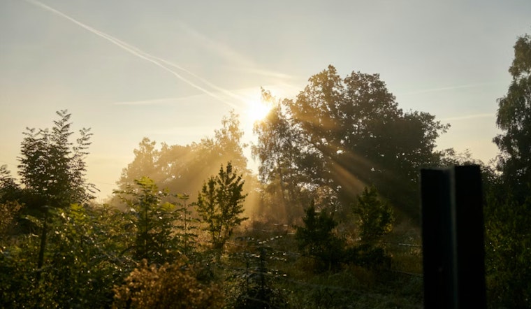 From Fog To Sizzle As Jacksonville Rides Weekend Weather Roller Coaster