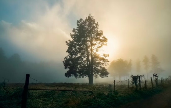 From Morning Gloom to Patio Bloom, Raleigh Warms Up Before a Chilly, Dicey Start to the Week