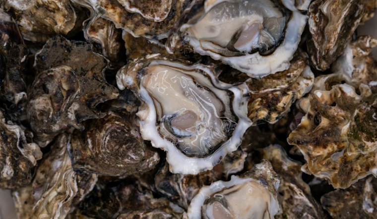 Frozen Bay, Empty Pockets As Chesapeake Ice Traps Maryland Oystermen