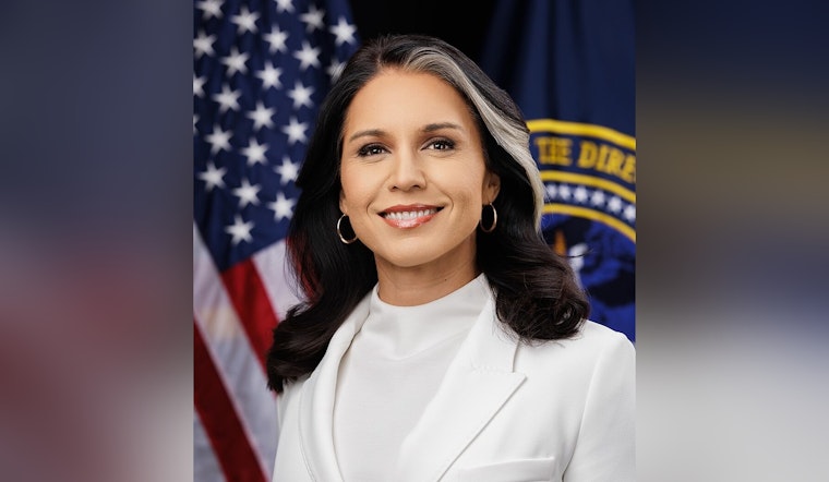 Gabbard's Feds Swooped In on Puerto Rico's Voting Machines