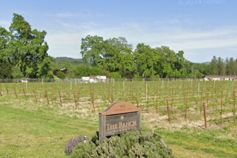 Gallo Pulls Plug on St. Helena Ranch Winery, 93 Jobs Axed