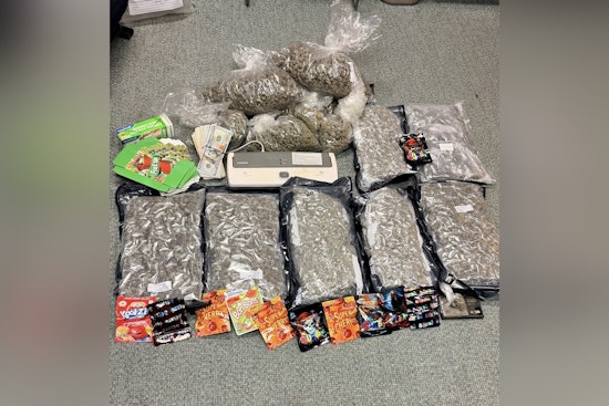 Gastonia Police Nab Suspect with 12 Pounds of Marijuana on Notorious Friday the 13th
