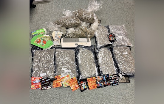 Gastonia Police Nab Suspect with 12 Pounds of Marijuana on Notorious Friday the 13th