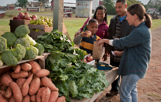 Glitchy Food Stamp Site Could Stick Florida With $1 Billion Tab