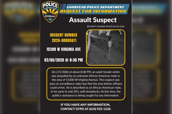 Goodyear Park Attack Caught On Camera As Cops Urge Neighbors To Help