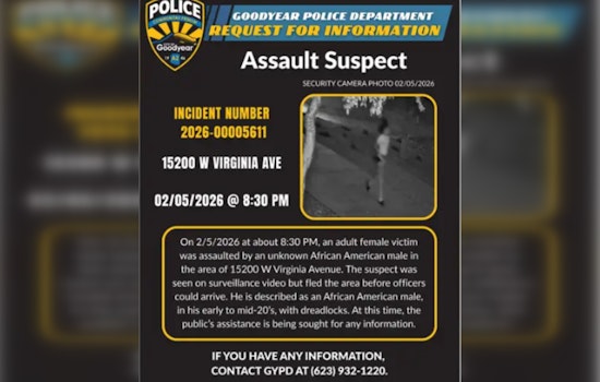 Goodyear Park Attack Caught On Camera As Cops Urge Neighbors To Help
