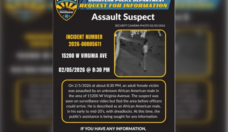Goodyear Park Attack Caught On Camera As Cops Urge Neighbors To Help