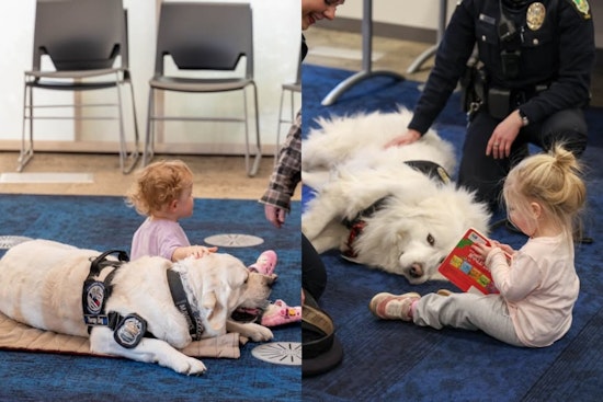 Grove City Library Hosts 'Books with Bo' for a Pawsome Reading Experience with Therapy Dogs