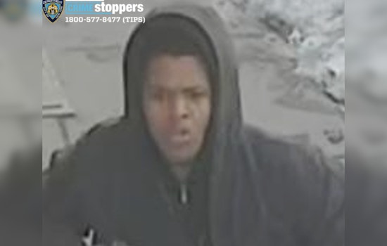 Gunfire Shakes Boston Road as Bronx Police Search for Two Suspects