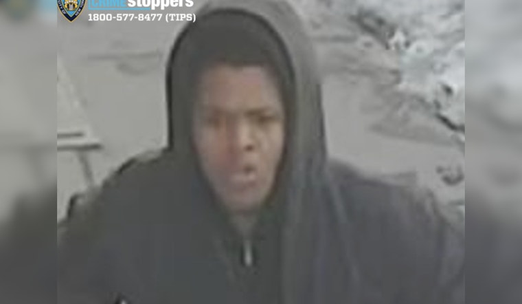 Gunfire Shakes Boston Road as Bronx Police Search for Two Suspects