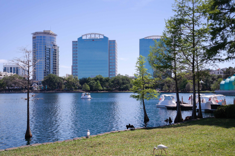 Gusty Winds Put Orlando On Edge With Red Flag Fire Alert