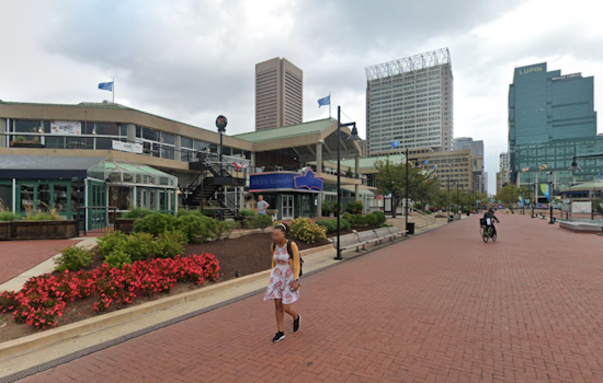 Harborplace Goes Oxtail Crazy As Waiting To Oxtail Serves Massive Plates