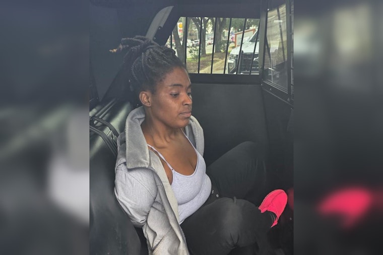 Harris County Woman Arrested After Alleged Vehicle Attack
