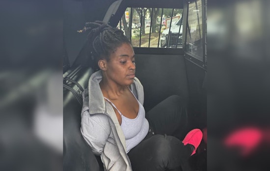 Harris County Woman Arrested After Alleged Vehicle Attack