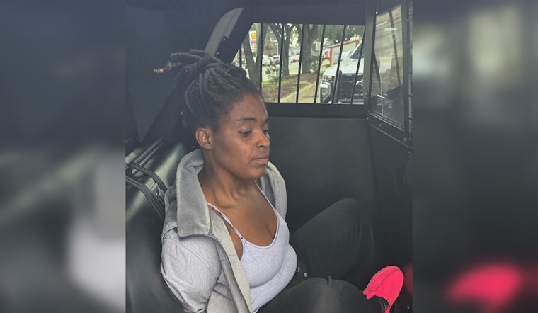 Harris County Woman Arrested After Alleged Vehicle Attack