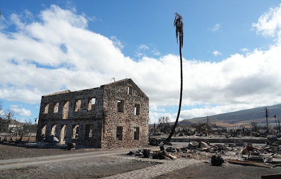 Hawaii Senators Go After Insurers As Maui Fire Survivors Fight To Rebuild