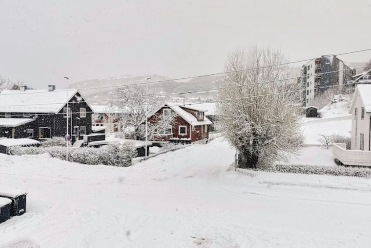 High Country On Edge As Mitchell County Faces Fierce Snow And Howling Winds