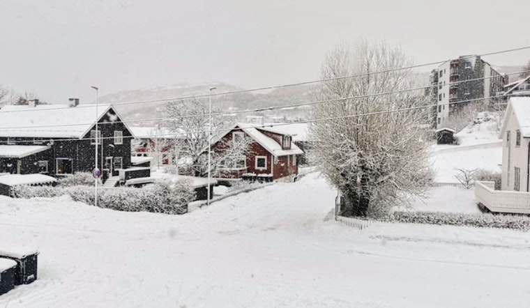 High Country On Edge As Mitchell County Faces Fierce Snow And Howling Winds