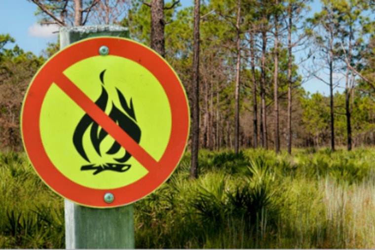 Hillsborough County Extends Emergency Burn Ban Amid Rising Wildfire Risks