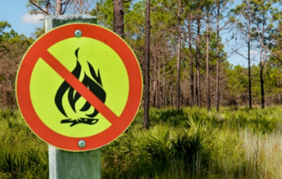 Hillsborough County Extends Emergency Burn Ban Amid Rising Wildfire Risks