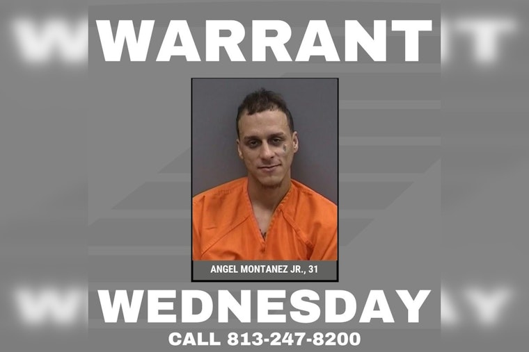 Hillsborough County Sheriff's Office Seeks Public's Help to Find Suspect Accused of Domestic Violence