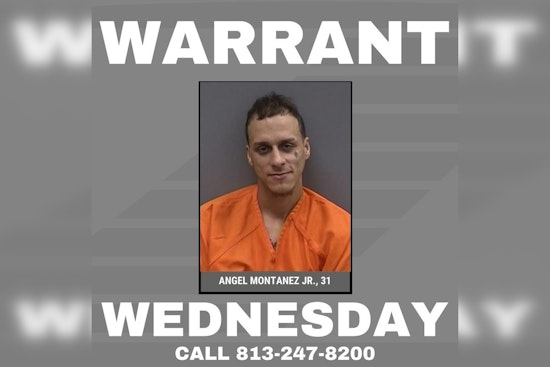 Hillsborough County Sheriff's Office Seeks Public's Help to Find Suspect Accused of Domestic Violence