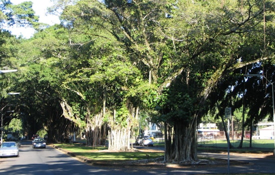 Hilo Power Players Push Bold Rescue For Battered Banyan Drive
