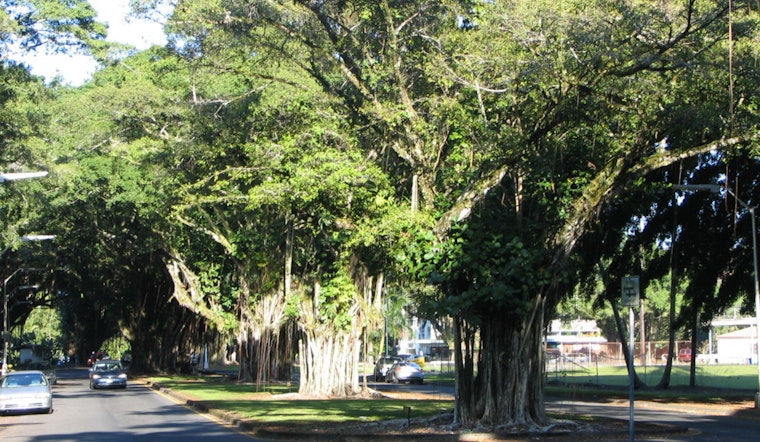 Hilo Power Players Push Bold Rescue For Battered Banyan Drive