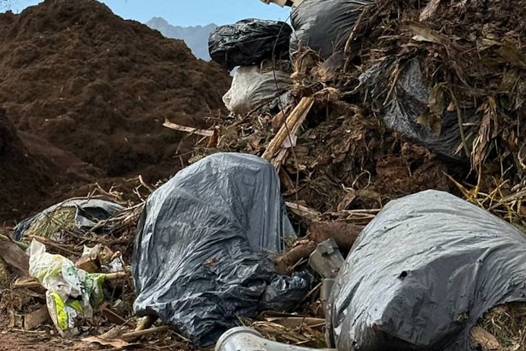 Honolulu Kitchen Scrap Shake Up as Green Cart Pilot Hits Select Oahu Streets