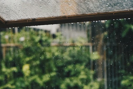 Honolulu Wakes To Scattered Showers As Gusty Monday Looms