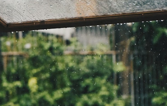 Honolulu Wakes To Scattered Showers As Gusty Monday Looms