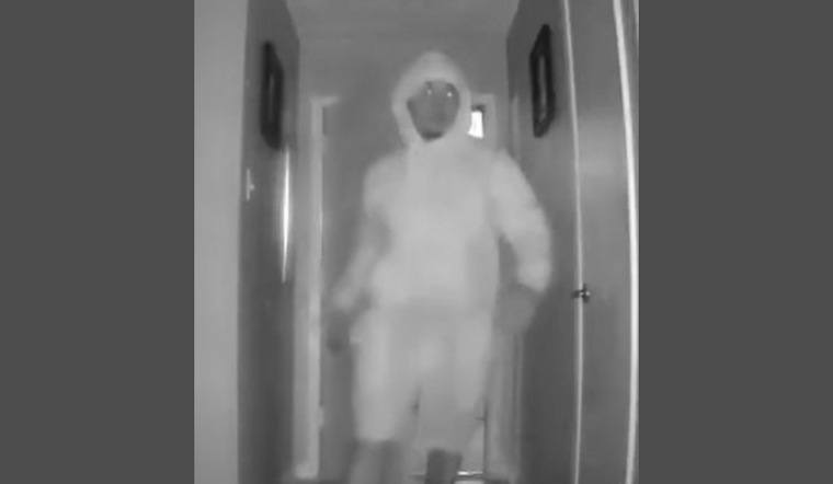 Hoodie-Wearing Burglar With Tattoo Hunted In North Arlington Break-Ins