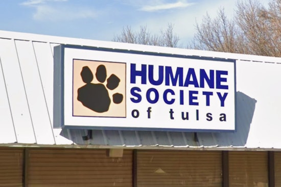 Horror Farm Outside Mannford: Deputies Seize Dozens Of Neglected Animals