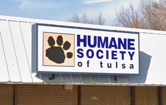 Horror Farm Outside Mannford: Deputies Seize Dozens Of Neglected Animals