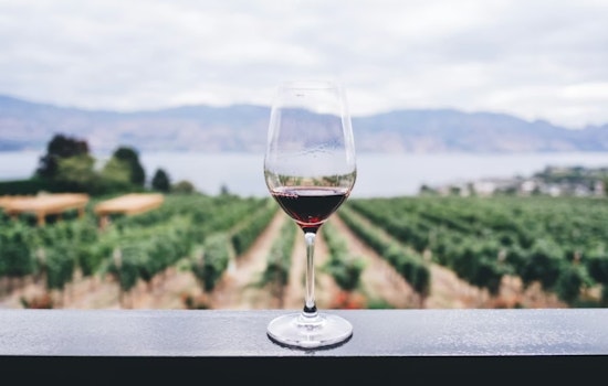 Hourglass Winery Rises From Glass Fire Ashes With Napa’s Green Light