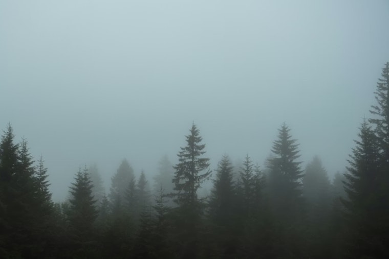 Houston Crawls Through Soup-Thick Fog As Valentine’s Weekend Storms Line Up