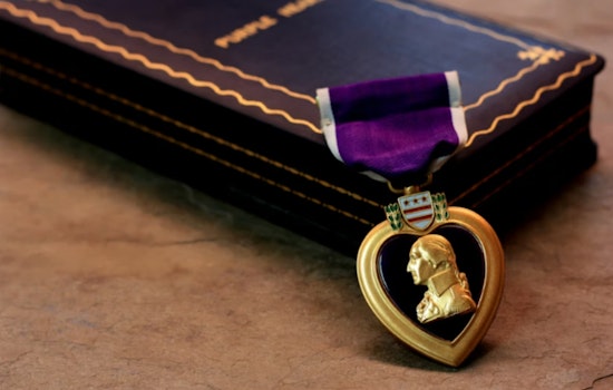 Houston Hero Dog Rocky Takes Bullet, Then a Purple Heart