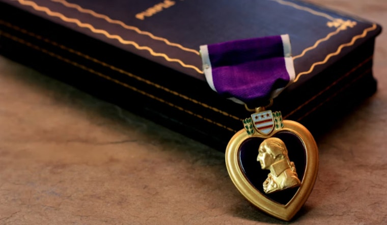 Houston Hero Dog Rocky Takes Bullet, Then a Purple Heart